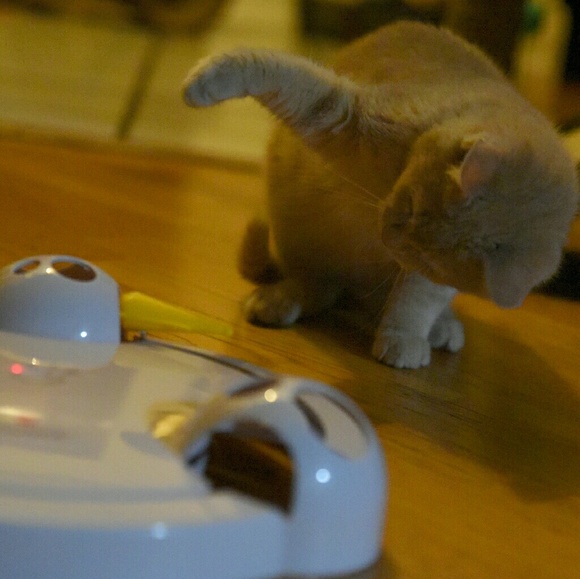 The Fab4 say "Thank You!!" - Picture 7 of 8